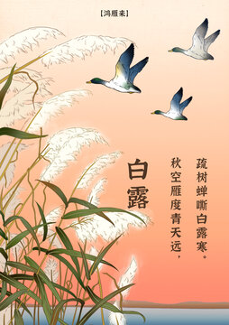 二十四節(jié)氣白露線稿