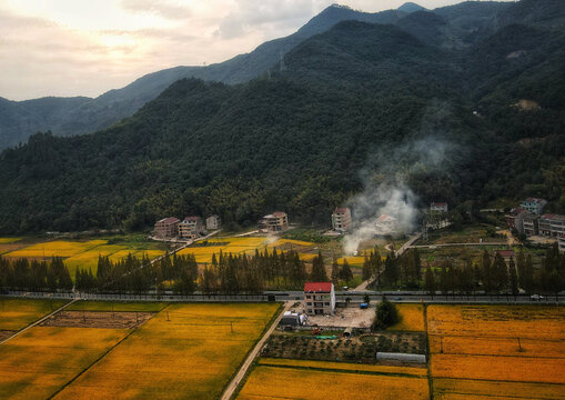 背靠山的农村房子和丰收的稻田