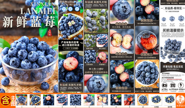 藍莓詳情