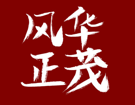 風華正茂