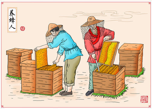 蜂农采蜂蜜插画