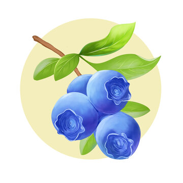 藍莓