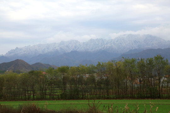 秦岭山积雪