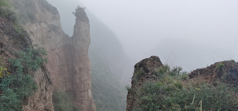 高山云雾