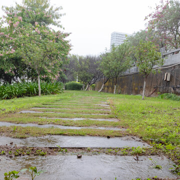 公园潮湿的石板路