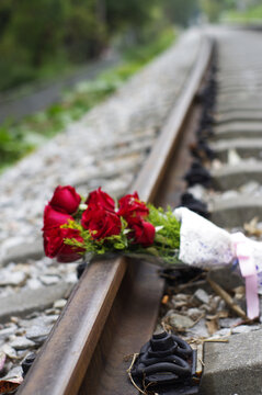 铁路上的玫瑰花