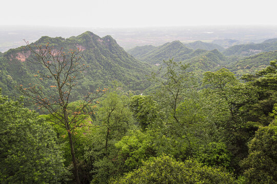 青城山远眺