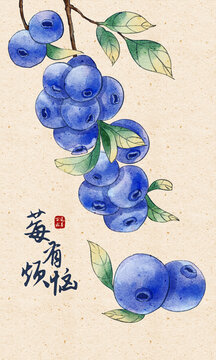 手繪藍(lán)莓