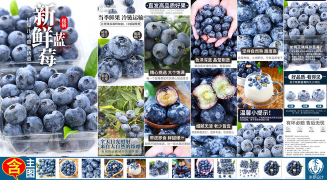 藍莓詳情頁主圖