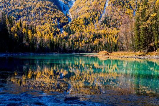 喀纳斯秋景