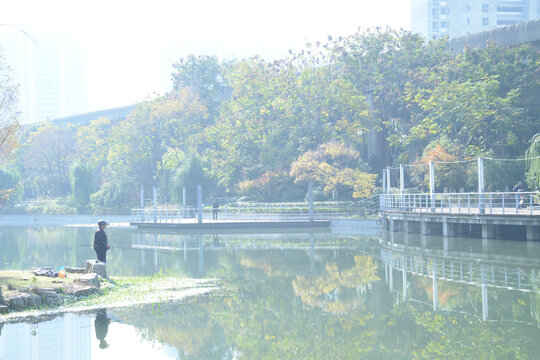 园林风景