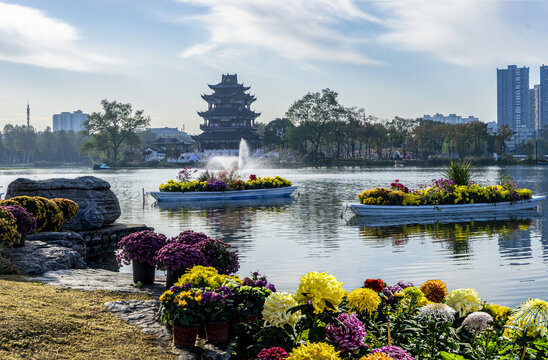 武汉菊展之紫阳公园菊花船