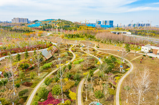 航拍郑州市森林公园小山坡