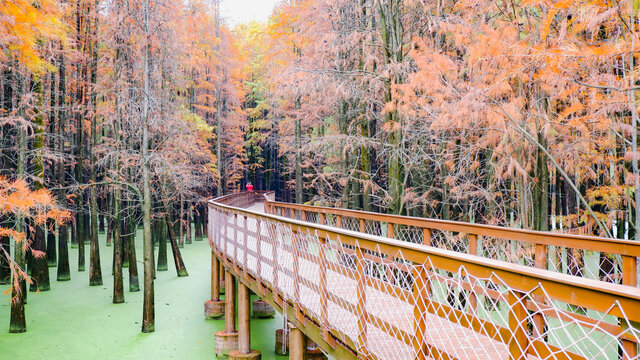 青山湖棧道