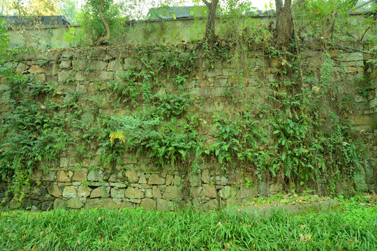旧墙
