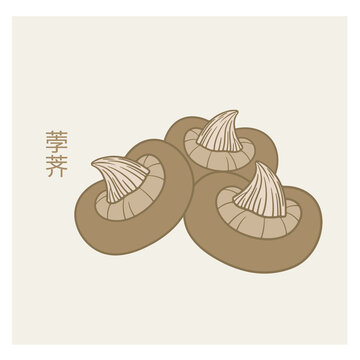 卡通荸薺