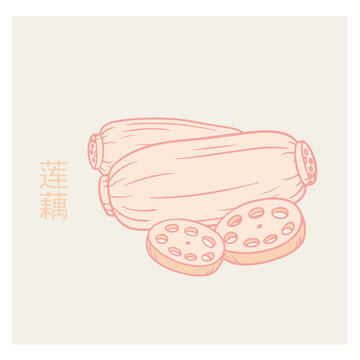 卡通蓮藕