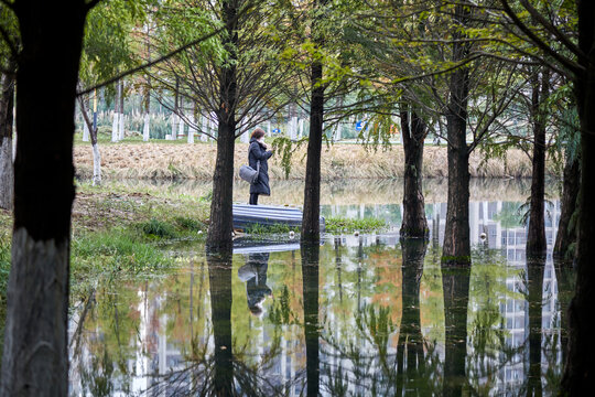 芜湖江东水生态公园