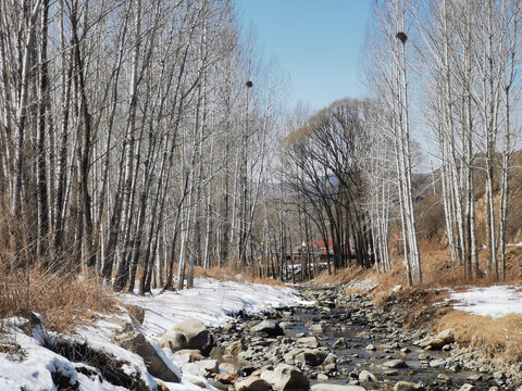 美丽乡村雪后的小溪