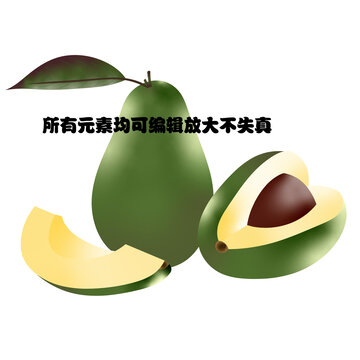 手繪牛油果矢量圖