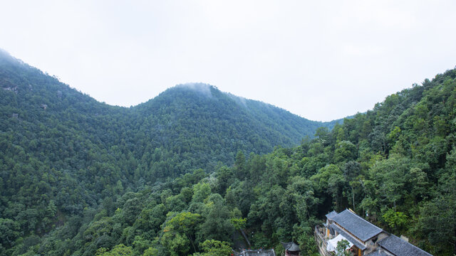 大理市剑川县宝相寺树林