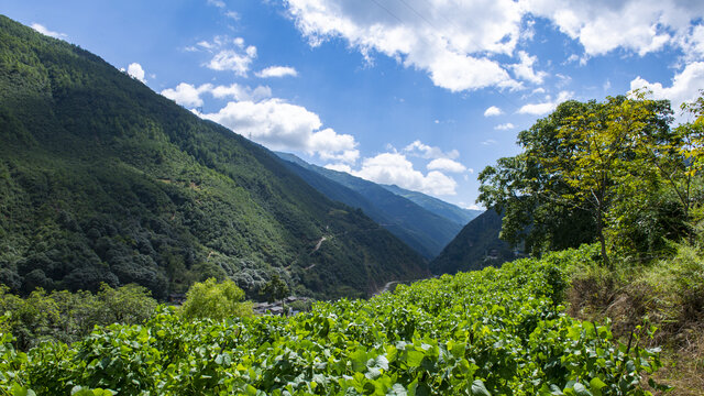 大理州剑川县弥沙乡弥井村高山