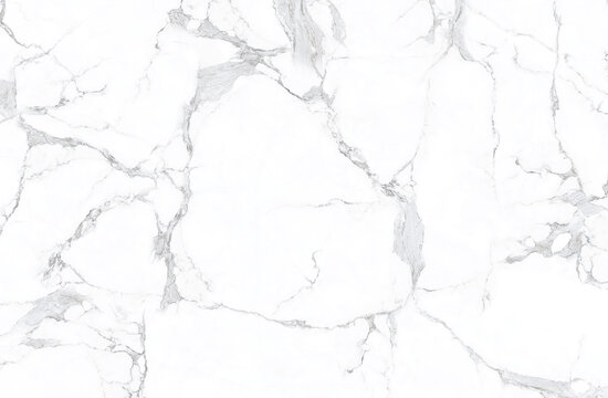 高清魚(yú)肚白大理石背景墻