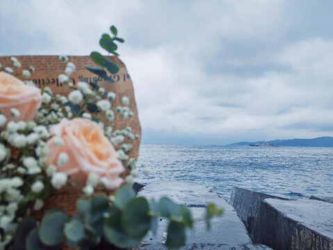 玫瑰与海