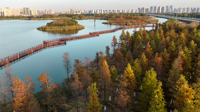 虎丘湿地公园