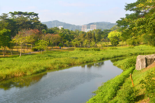 深圳福田河及城市中心区风光