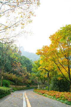 临平山绿道秋景