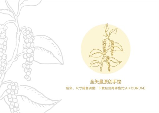 胡椒手繪胡椒插畫胡椒線描圖
