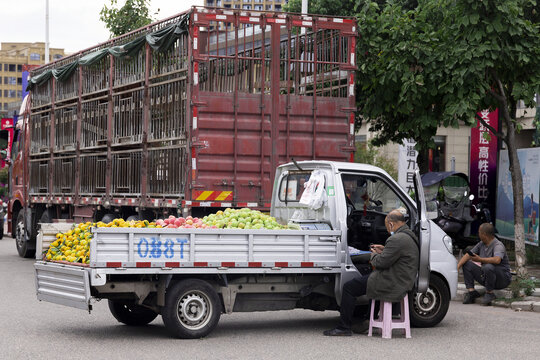 路边摊卖水果