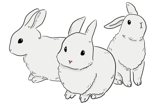 2023兔年小白兔手绘插画