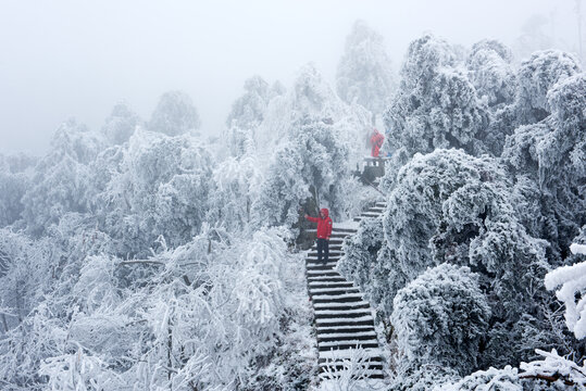 南岳衡山观雾凇