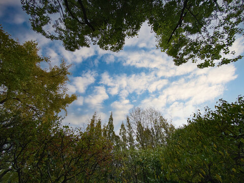 秋日天空景色