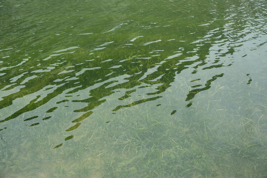 清澈湖水