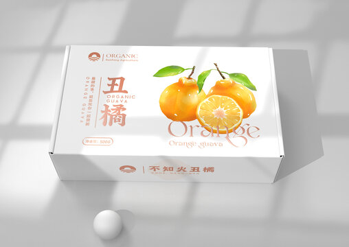 高端丑橘包裝設(shè)計