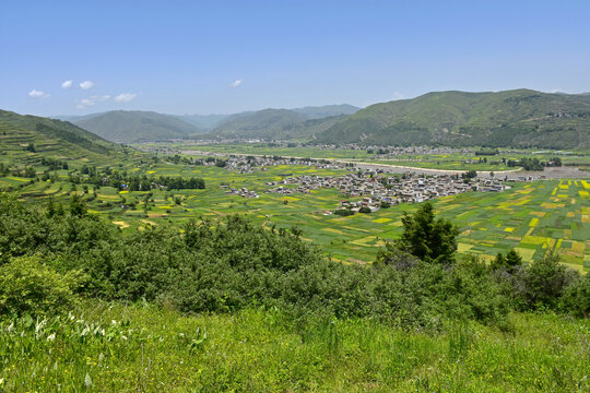 蓝天绿树新农村