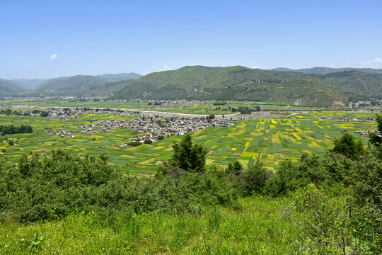 蓝天绿树新农村