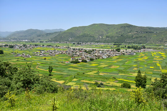 蓝天绿树新农村