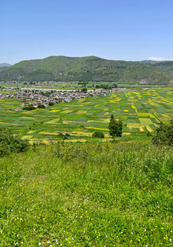 蓝天绿树新农村