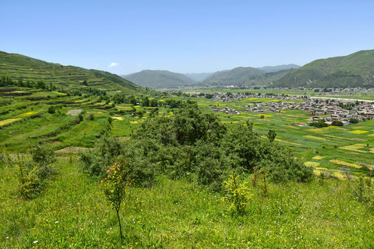 藍天綠樹新農村
