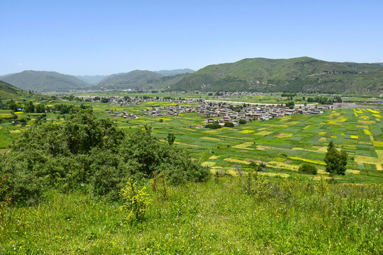 藍天綠樹新農村