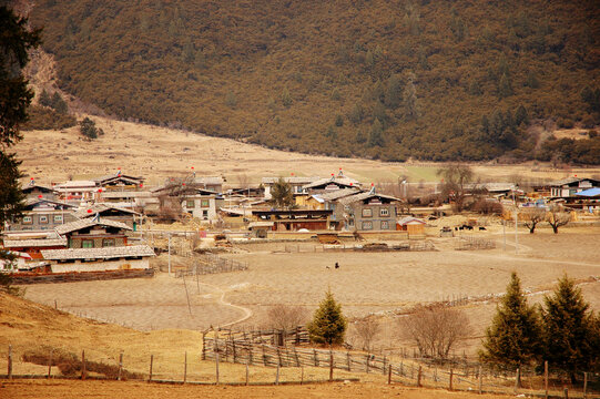 扎西岗村