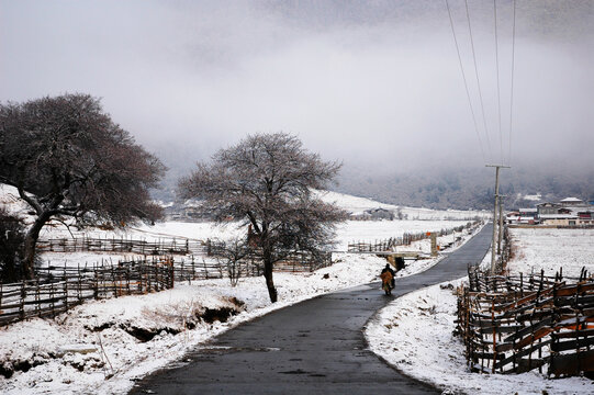 雪中扎西岗村