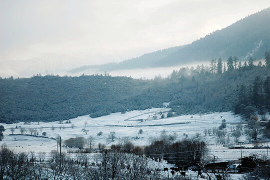 雪中扎西岗村