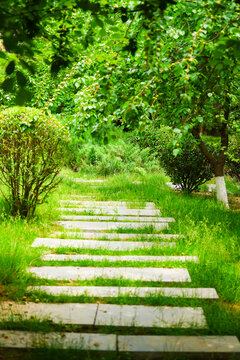 绿植走道