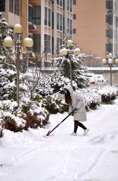 扫雪