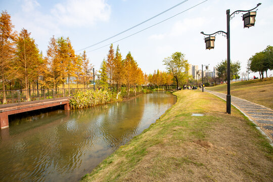 广西蒙山湿地公园冬季风景